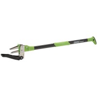 Raking and Weeding